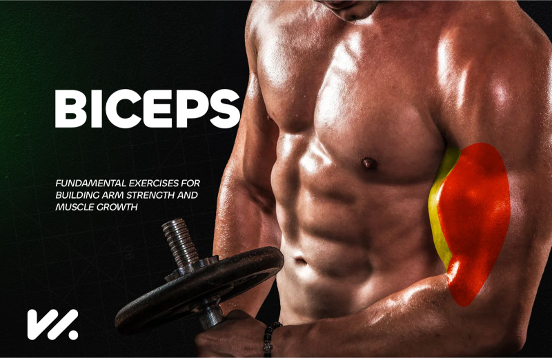 Biceps