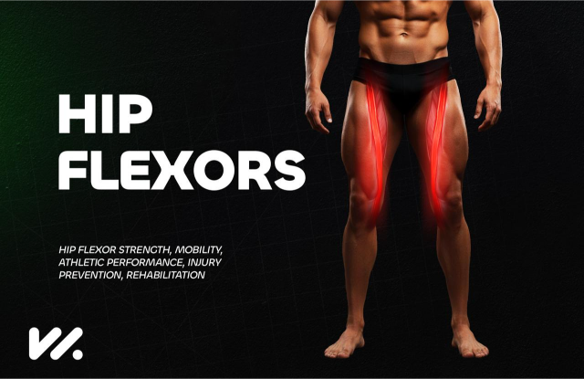 Hip Flexors