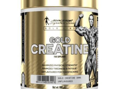 Kevin Levrone GOLD Creatine