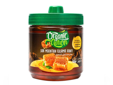 Organic Nation Sidr Mountain Honey – 400 g